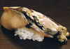 sushi photo iwagaki