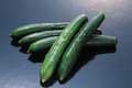 vegetable photo cucumber