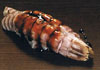 sushi photo syako